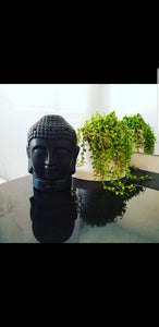diffuser, buddha, home decor 